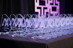 Awards Displayed on Table