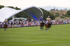 Horses Running at Polo Match