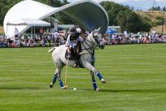 Polo Game