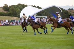 Polo Match