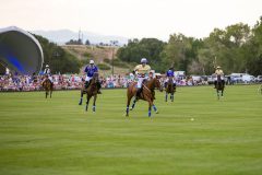 Professional Polo Game