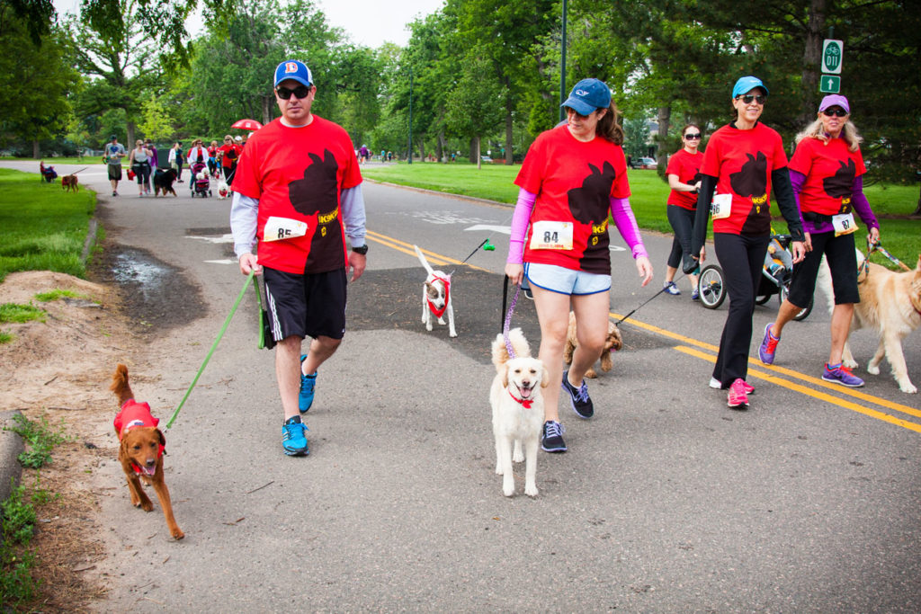 VPI K9K Pet Cancer Awareness Walk