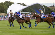 Rocky Mountain Polo Festival