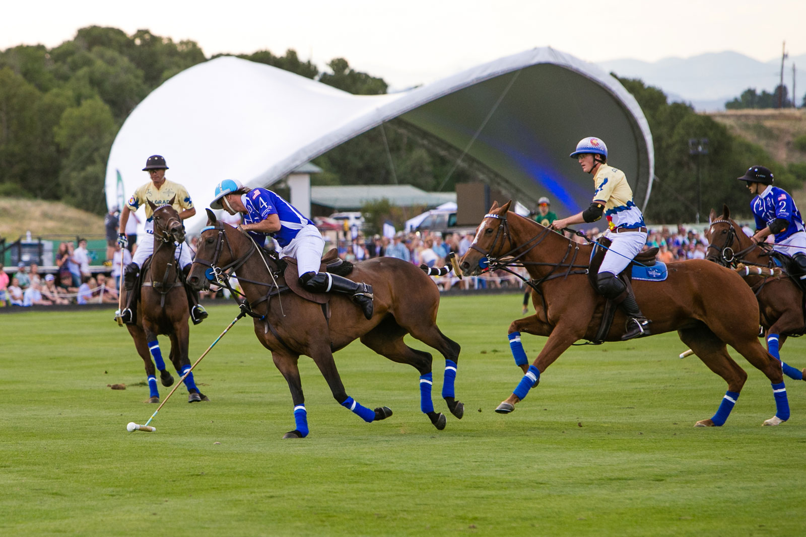 Rocky Mountain Polo Festival