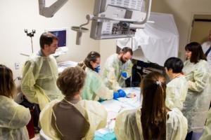 Doctor Conference