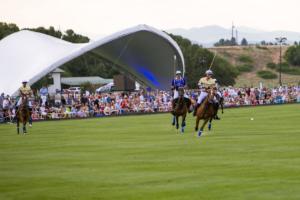 Horses at Polo Match
