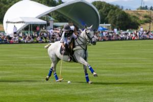 Polo Game in Denver