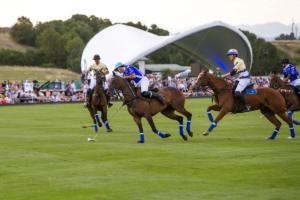 Polo Match in Action