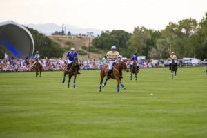 Professional Polo Match in Littleton